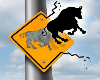 Breaking Records Bull Breaking Records Bull